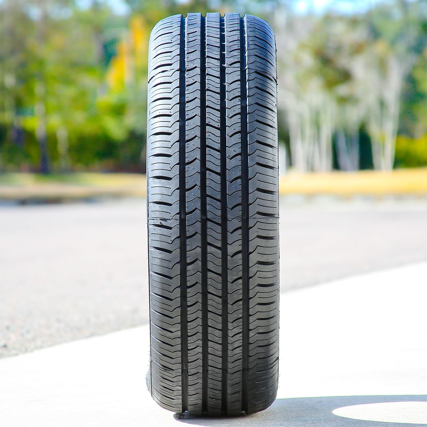 Set of 4 (FOUR) Evoluxx Capricorn HP All-Season Truck/SUV Performance Radial Tires-235/65R18 235/65/18 235/65-18 106H Load Range SL 4-Ply BSW Black Side Wall UTQG 700AA